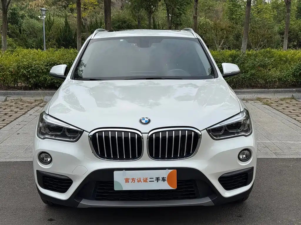 BMW X1 — миниатюра 2