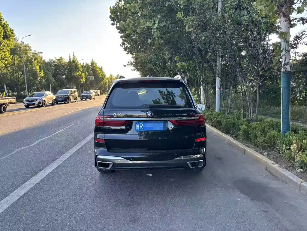 BMW X7 — миниатюра 5
