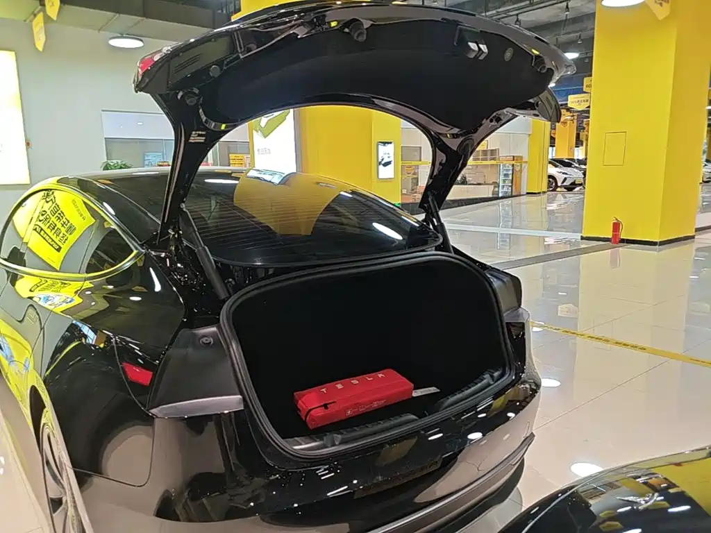 Tesla Model 3 — миниатюра 19