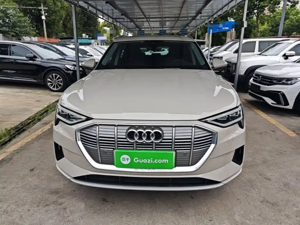 Audi e-tron (Import) — миниатюра 3