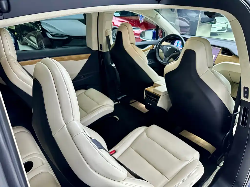 Tesla Model X — миниатюра 11