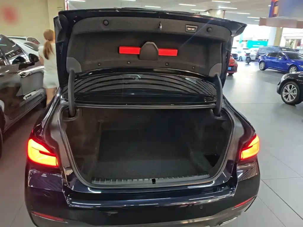 BMW 5 Series — миниатюра 19