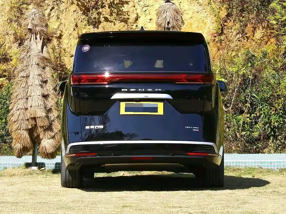 Denza Denza D9 — миниатюра 5