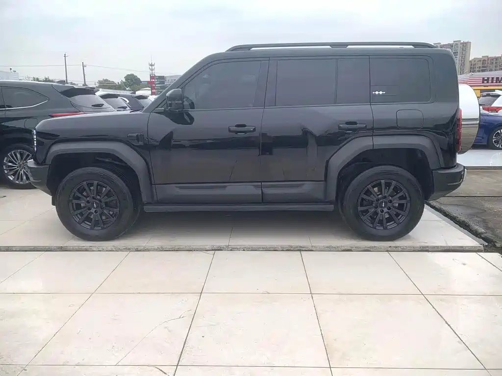 FANG CHENG BAO LEOPARD 5