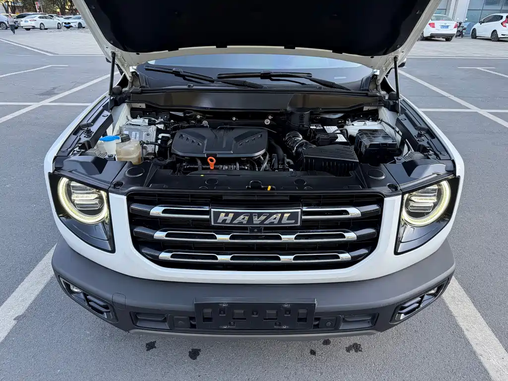 Haval Big Dog — миниатюра 17