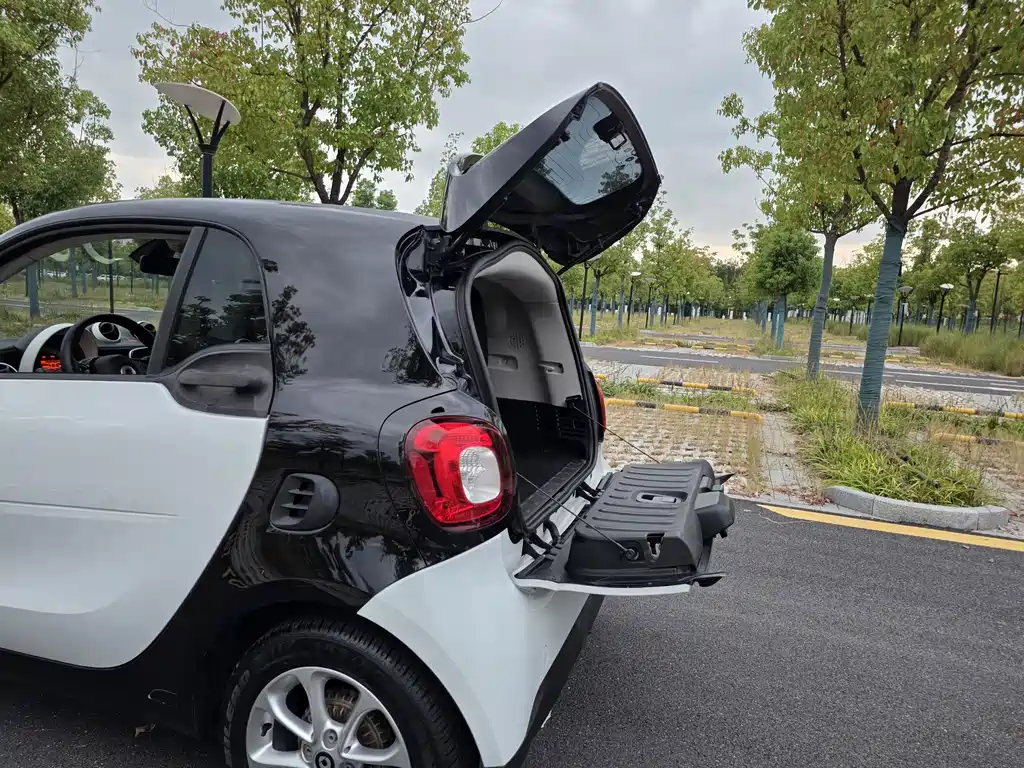 smart Smart Fortwo — миниатюра 24