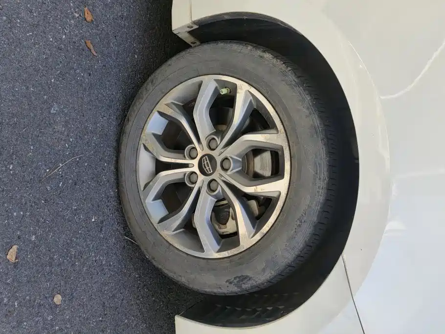 Geely Borui — миниатюра 6