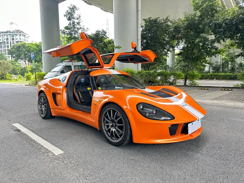 MELKUS MELKUS RS2000 — миниатюра 10