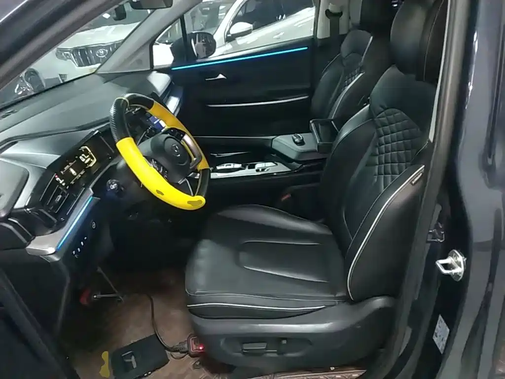 Hyundai Custo — миниатюра 15