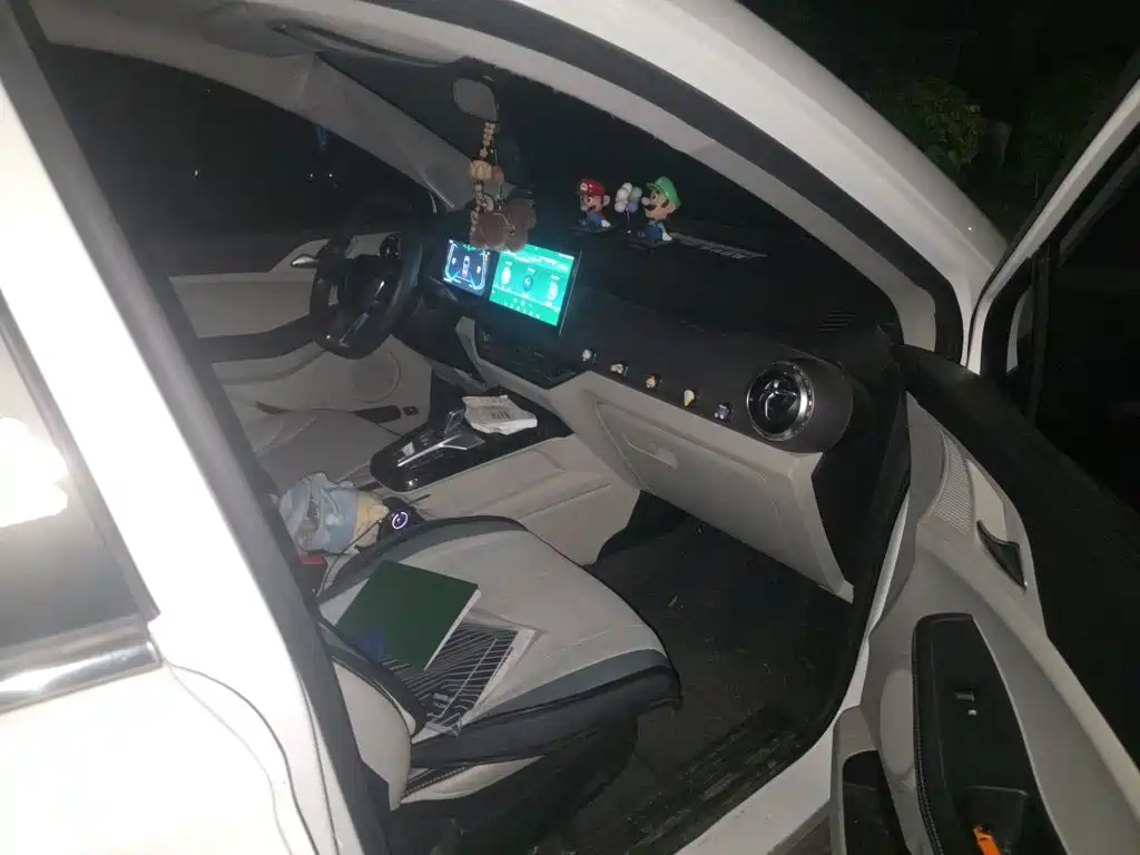 BYD Yuan Pro — миниатюра 19