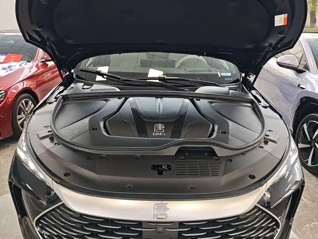 BYD Tang New Energy — миниатюра 20