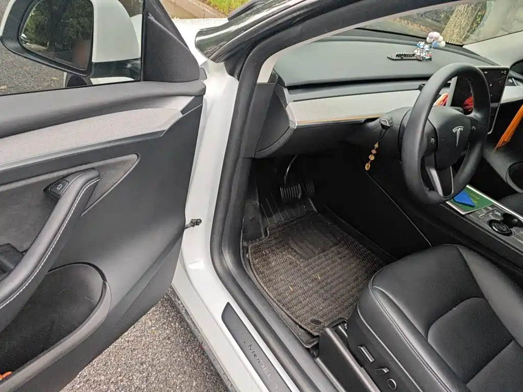 Tesla Model Y — миниатюра 12