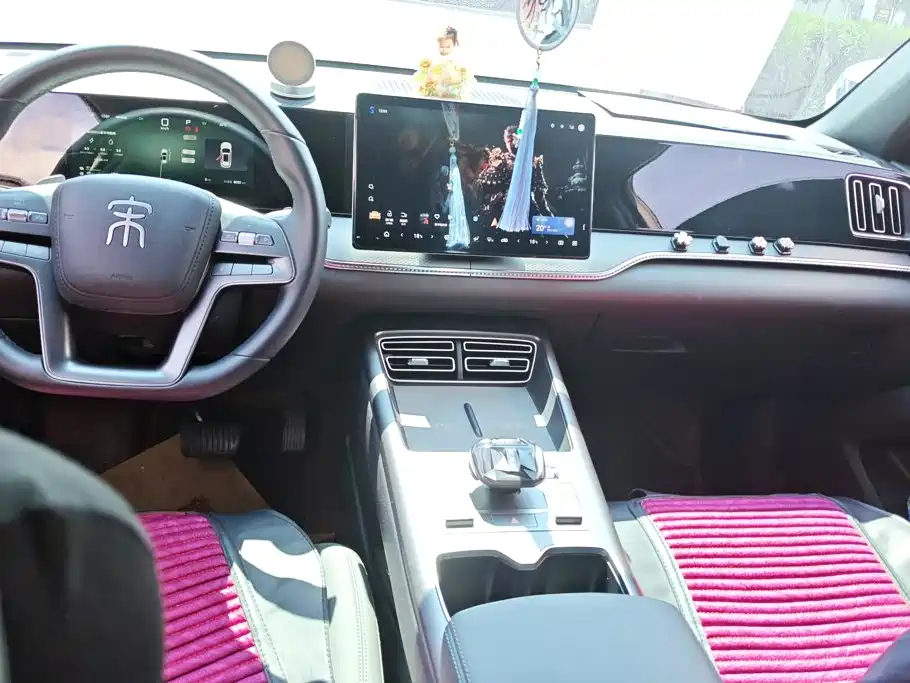 BYD Pro New Energy — миниатюра 15