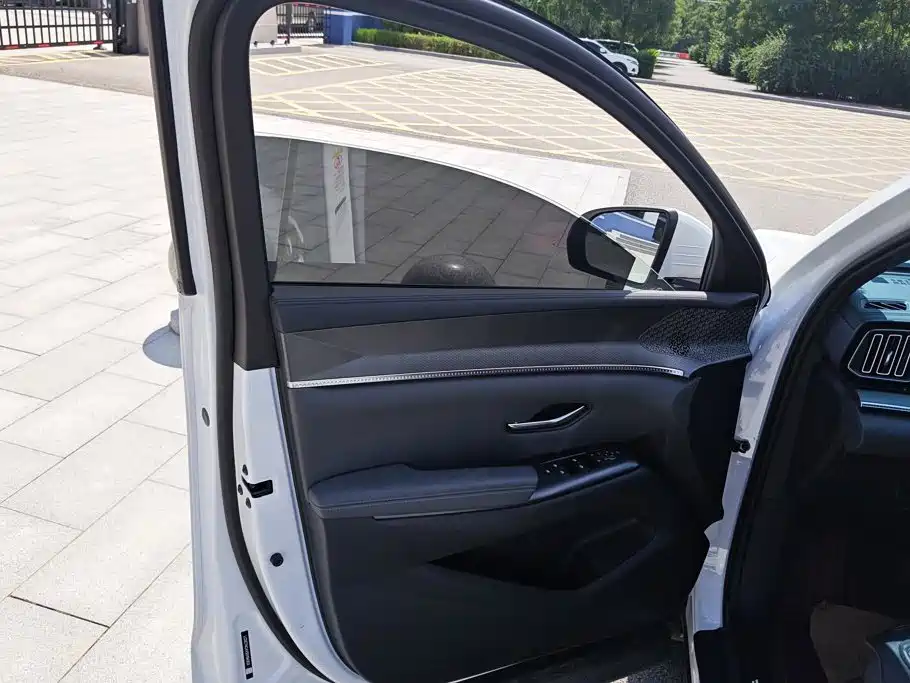 BYD Pro New Energy — миниатюра 6