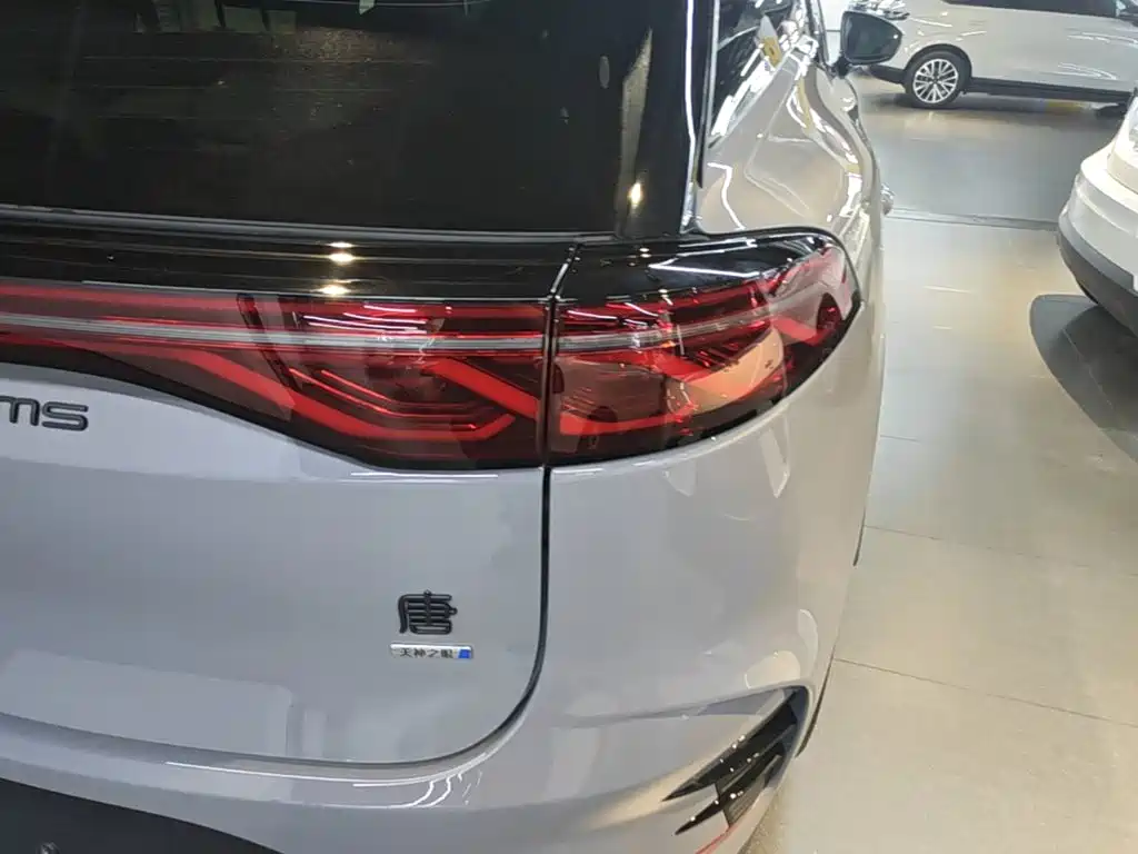 BYD Tang New Energy — миниатюра 8