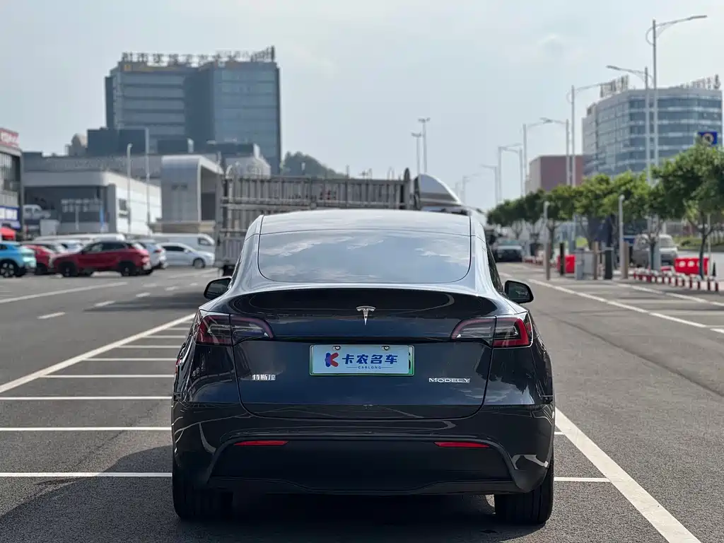 Tesla Model Y — миниатюра 3