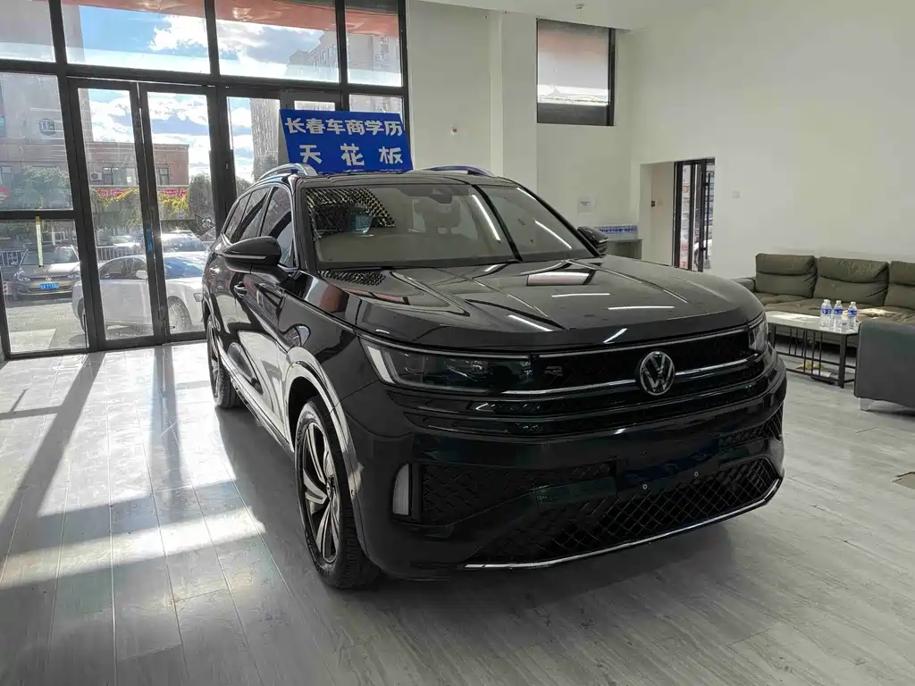 Volkswagen Tavendor — миниатюра 3
