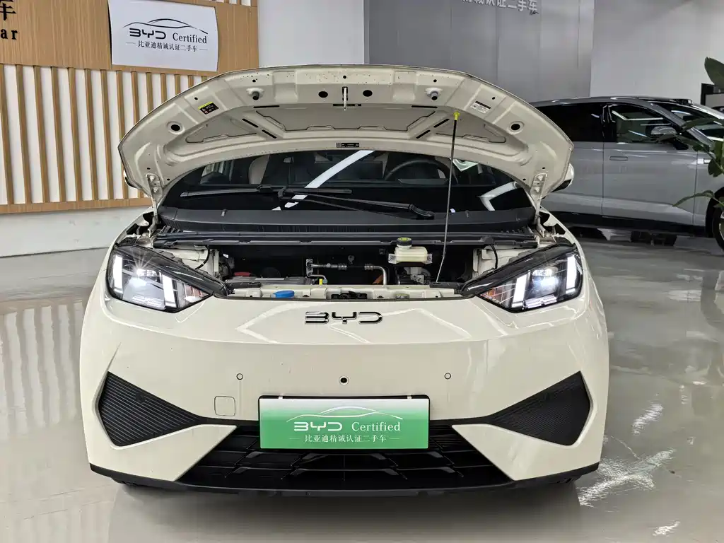 BYD Seagull — миниатюра 19