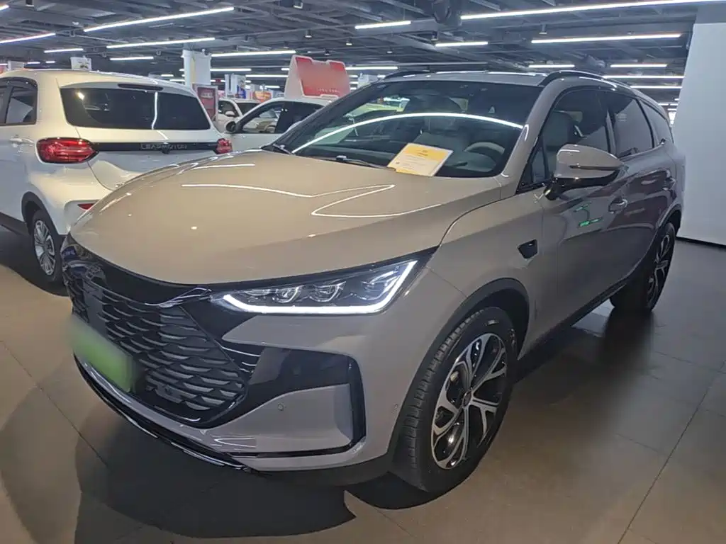 BYD Tang New Energy — миниатюра 2