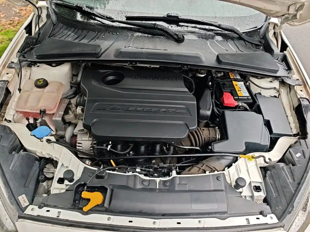 Ford Escort — миниатюра 20