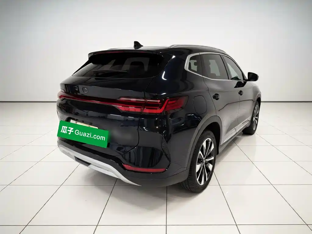 BYD PLUS New Energy — миниатюра 6