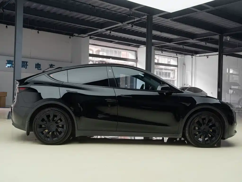 Tesla Model Y — миниатюра 7