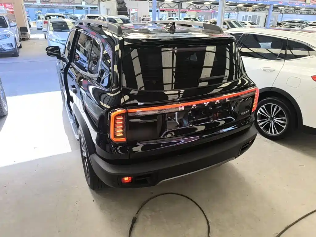 Haval 长城大狗 — миниатюра 5