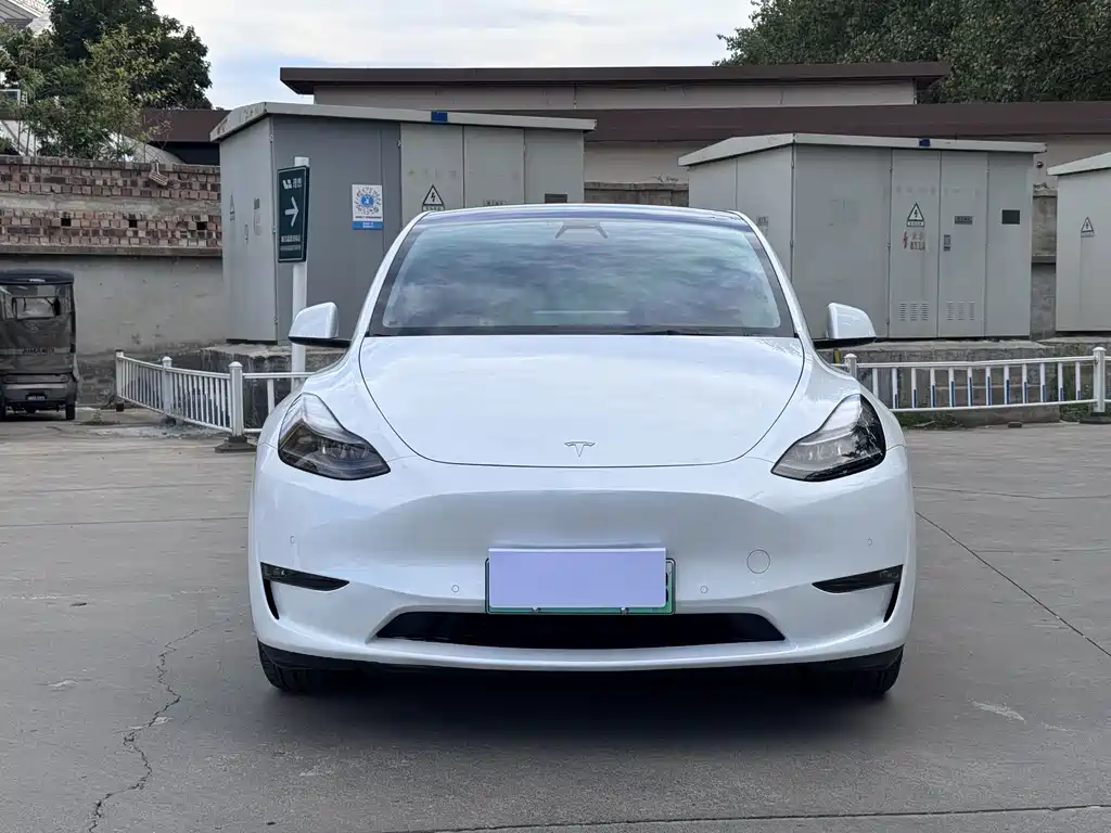 Tesla Model Y — миниатюра 2