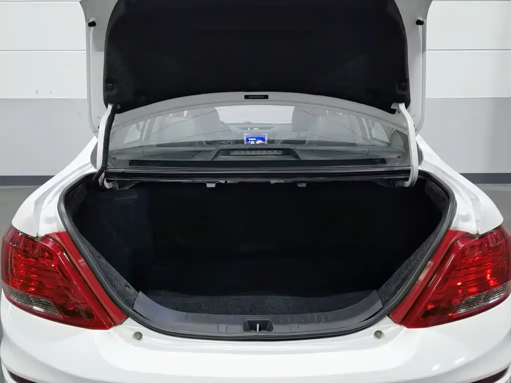BYD Surui — миниатюра 16