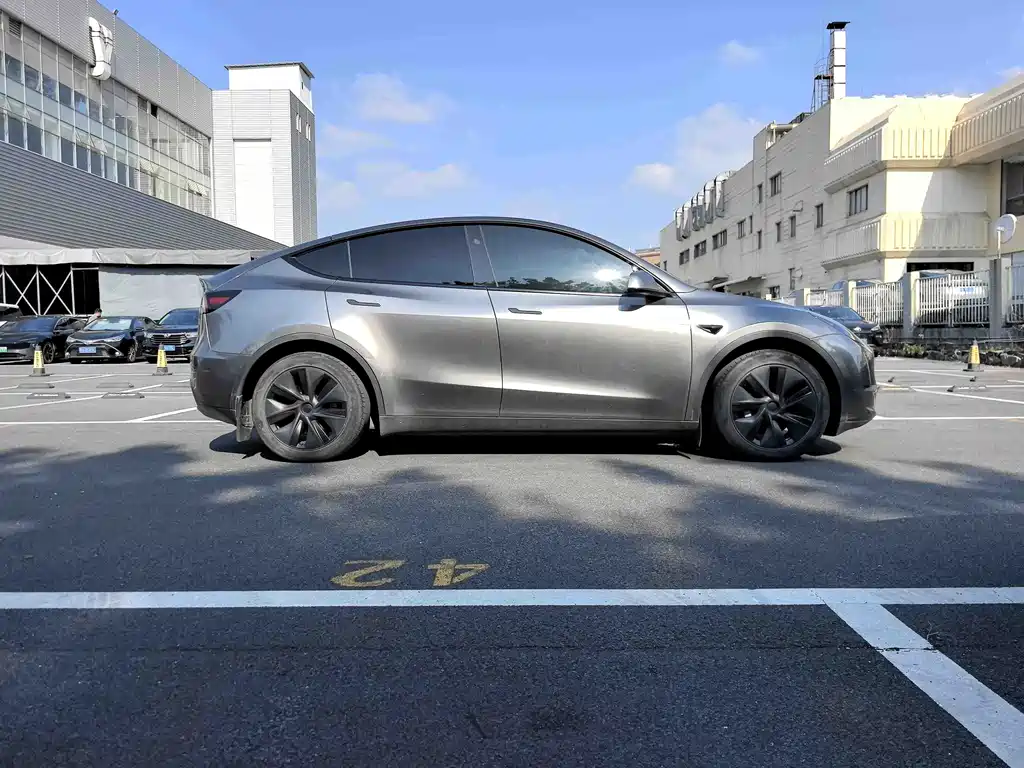 Tesla Model Y — миниатюра 3