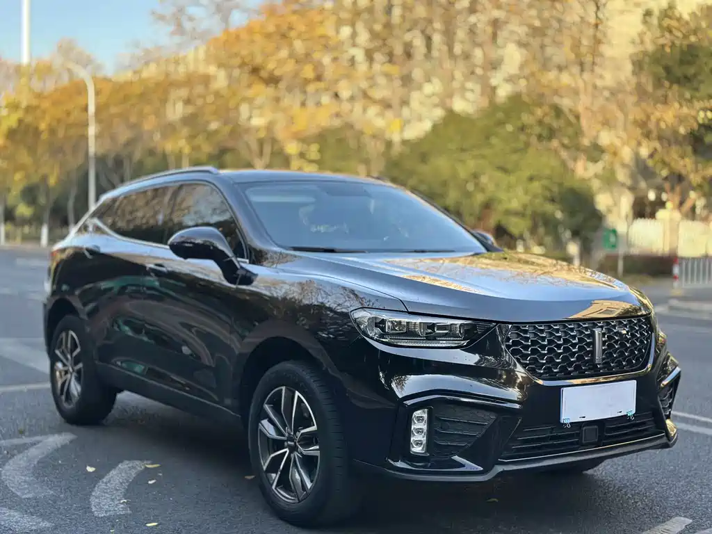 WEI PAI WEI BRAND VV5