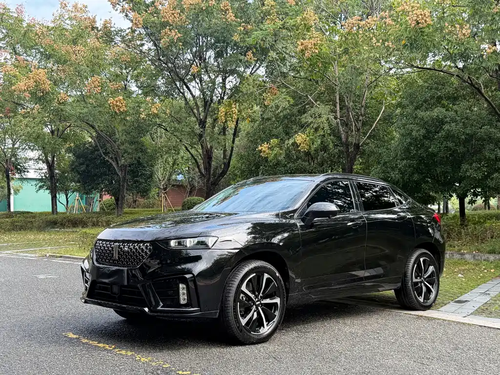 Wey Wey VV7 GT