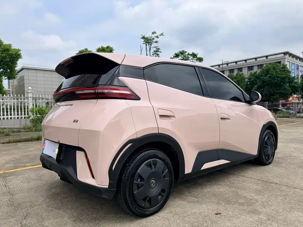 BYD Seagull 2024 305km Freedom