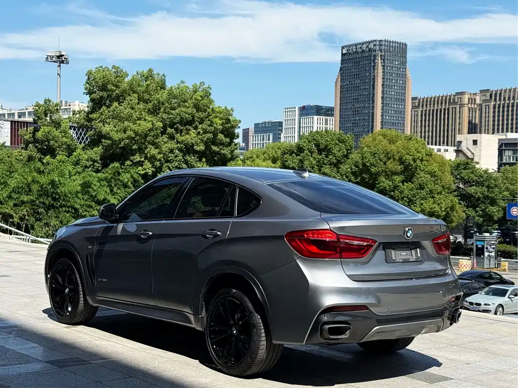 BMW X6 — миниатюра 5