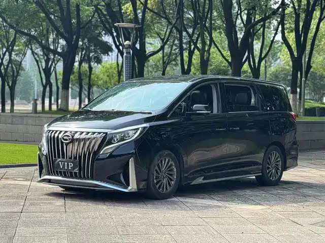 2021 GAC GN8