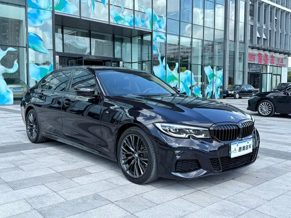 BMW 3 Series — миниатюра 2