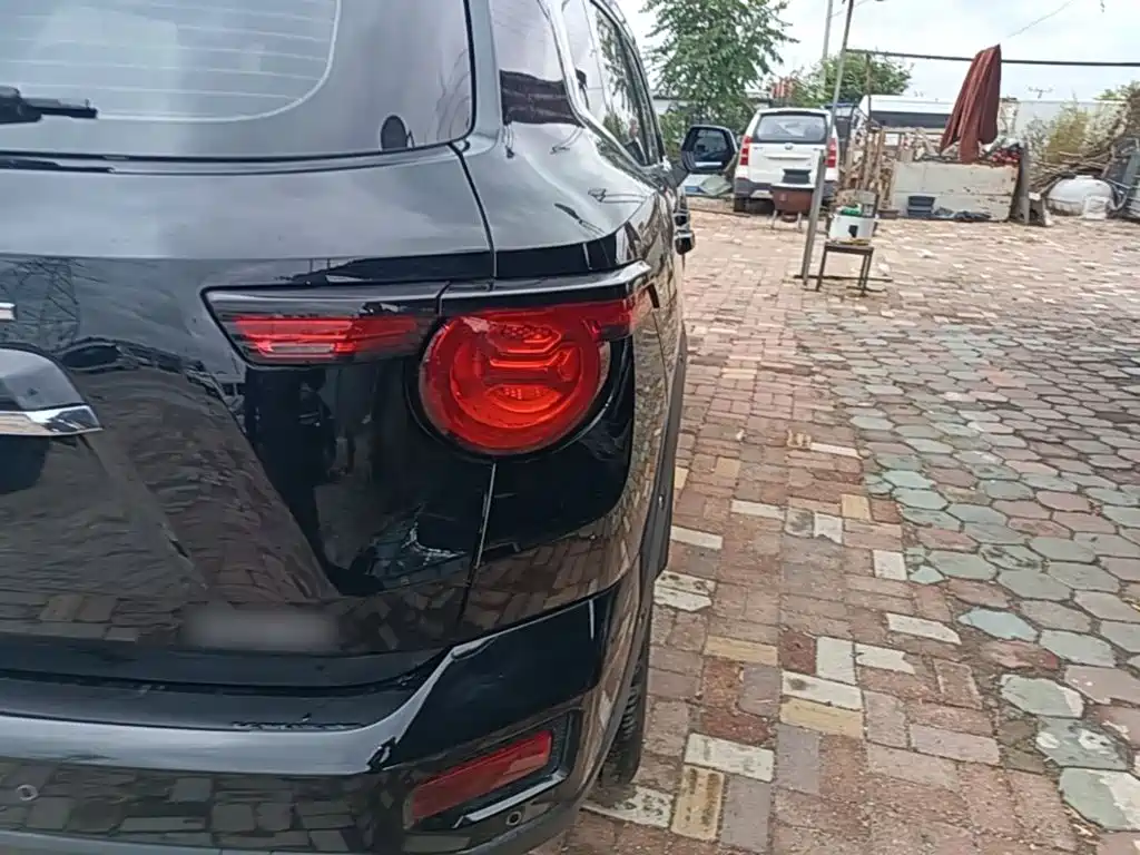 Haval Big Dog PLUS — миниатюра 8