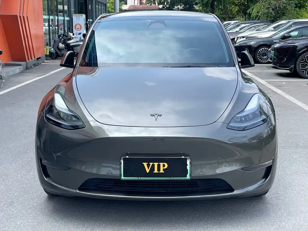 Tesla Model Y — миниатюра 2