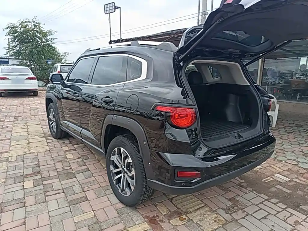 Haval Big Dog PLUS — миниатюра 5