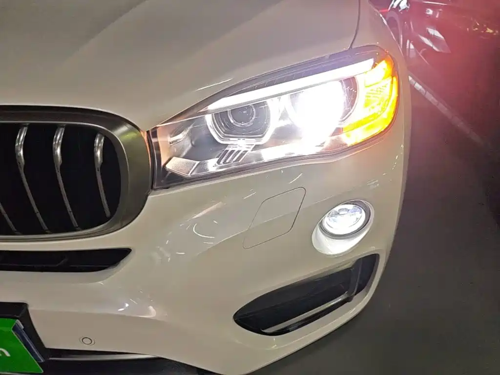 BMW X6 — миниатюра 24