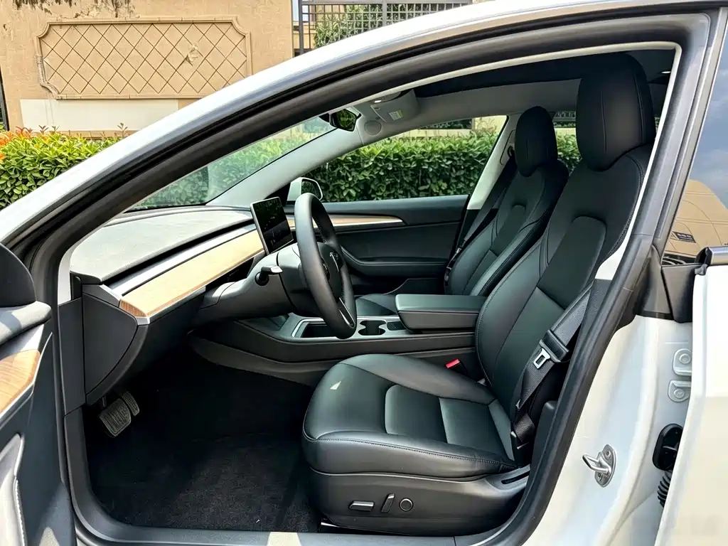 Tesla Model 3 — миниатюра 6
