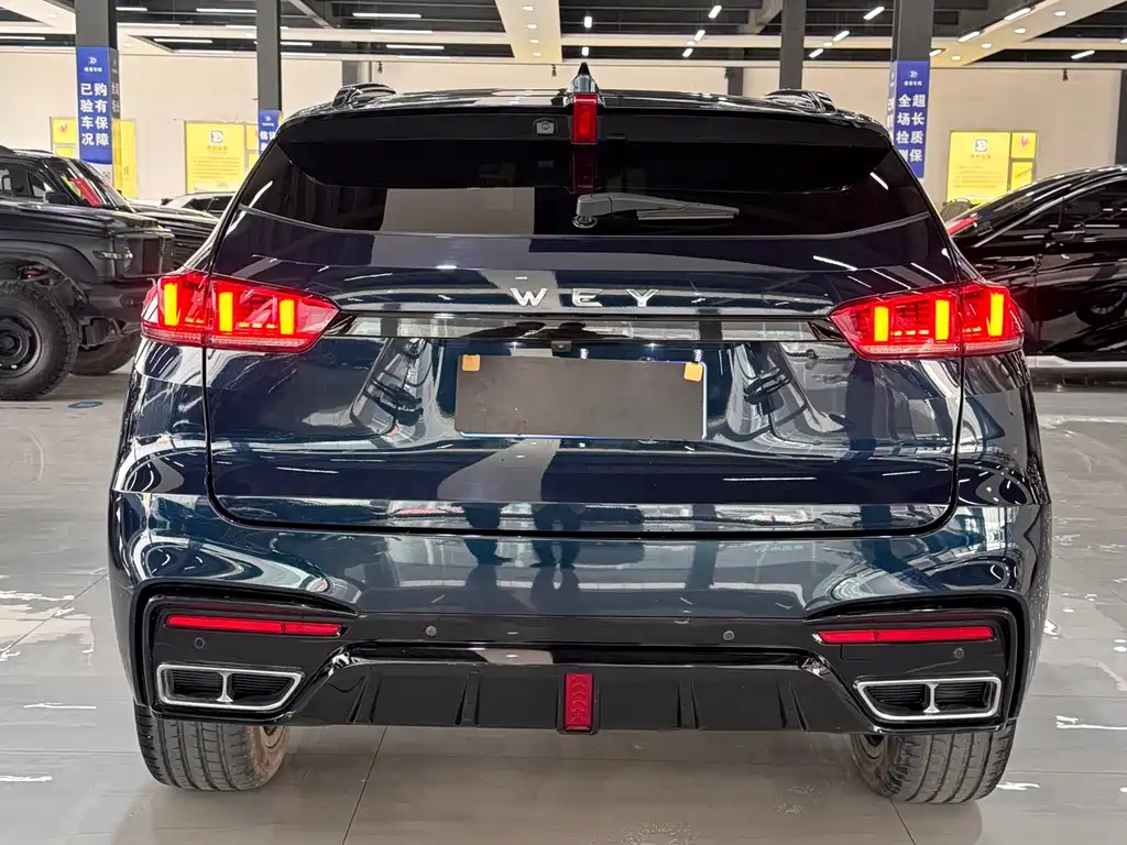 WEI PAI WEI BRAND VV7