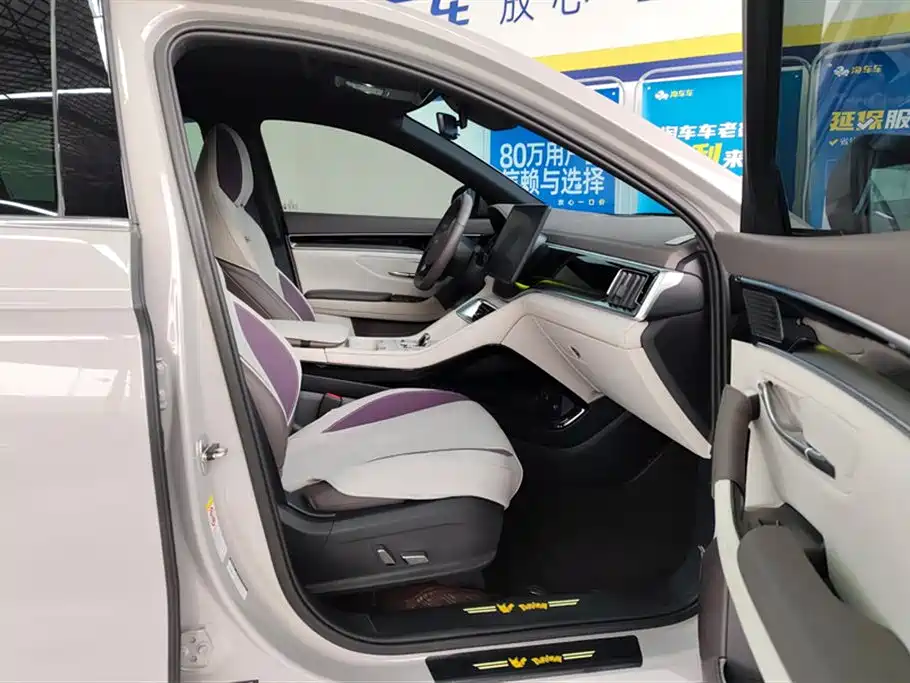 BYD SONGJIANG NEW ENERGY