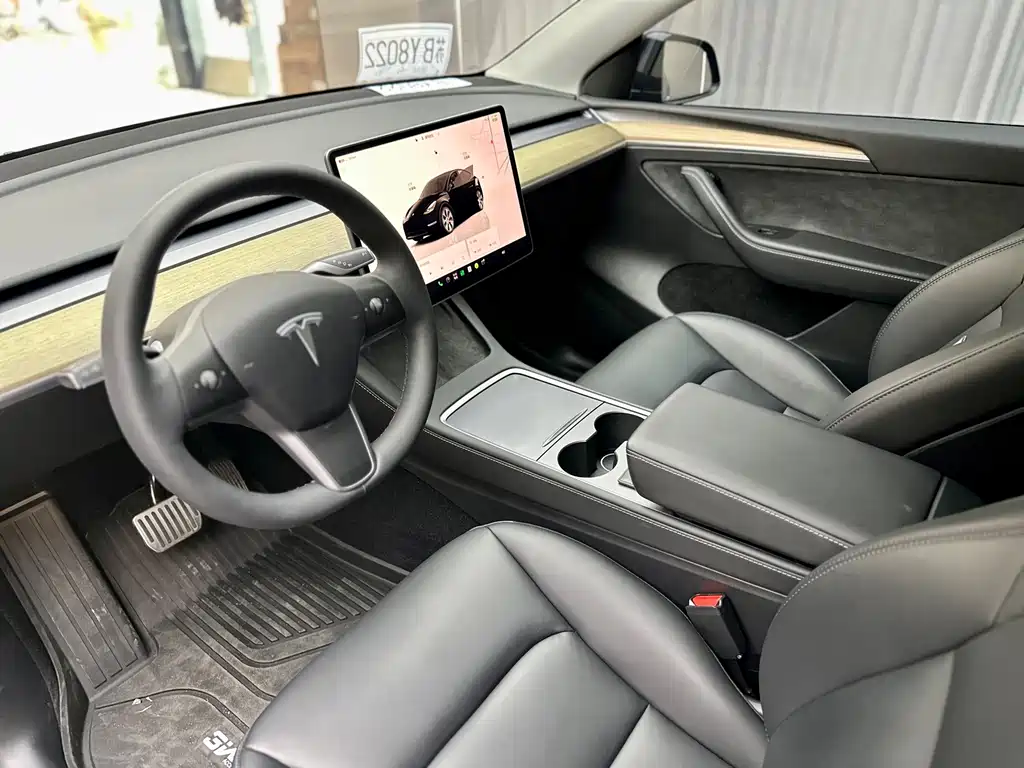 Tesla Model Y — миниатюра 4