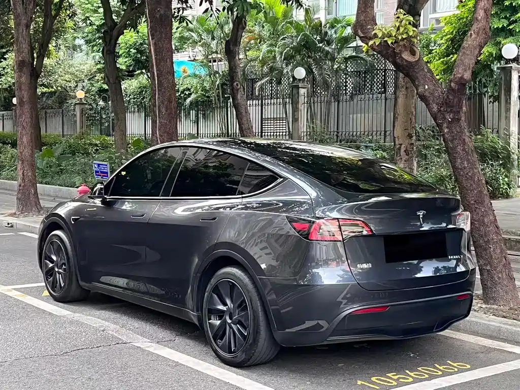 Tesla Model Y — миниатюра 18