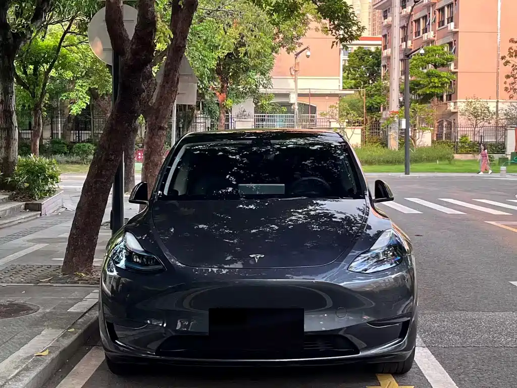 Tesla Model Y — миниатюра 2