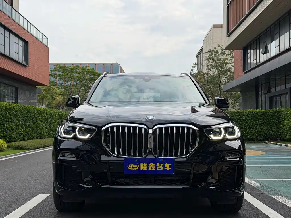 BMW X5 (Import) — миниатюра 10