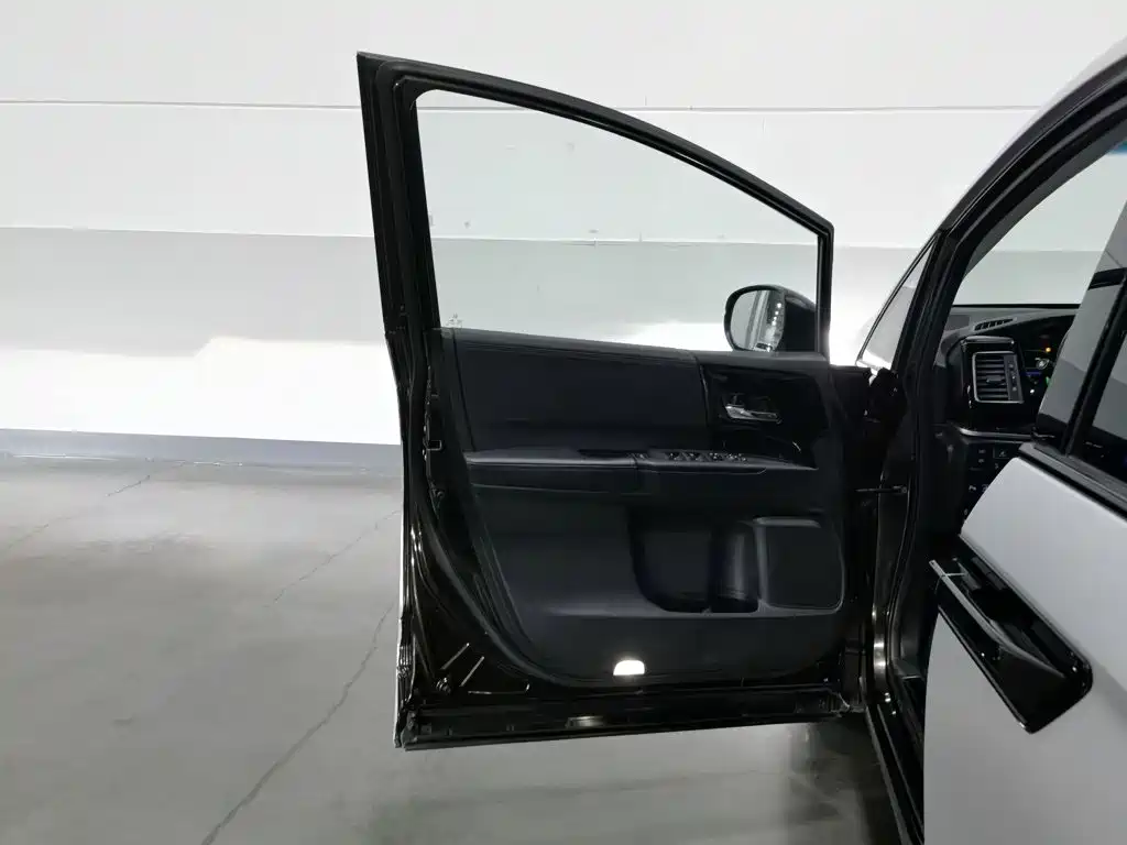 Honda Elysion — миниатюра 8