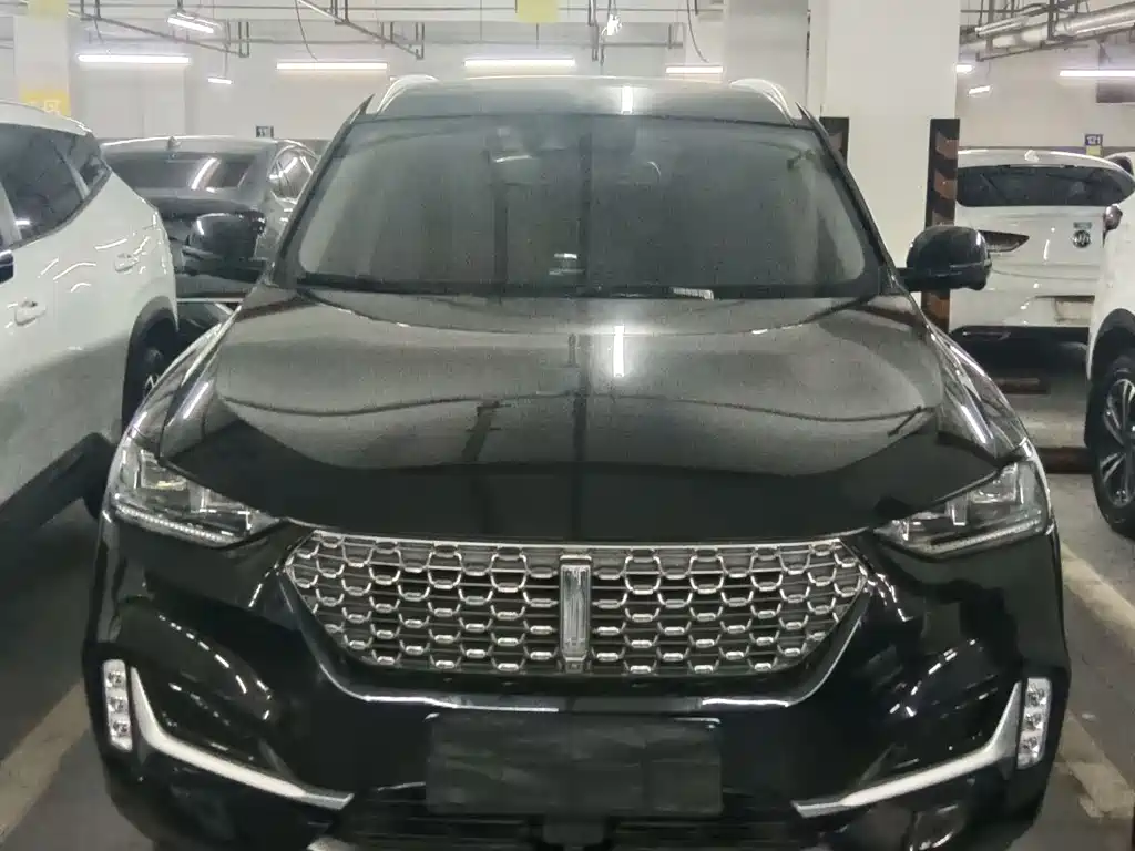 Купить Wey Wey VV6
