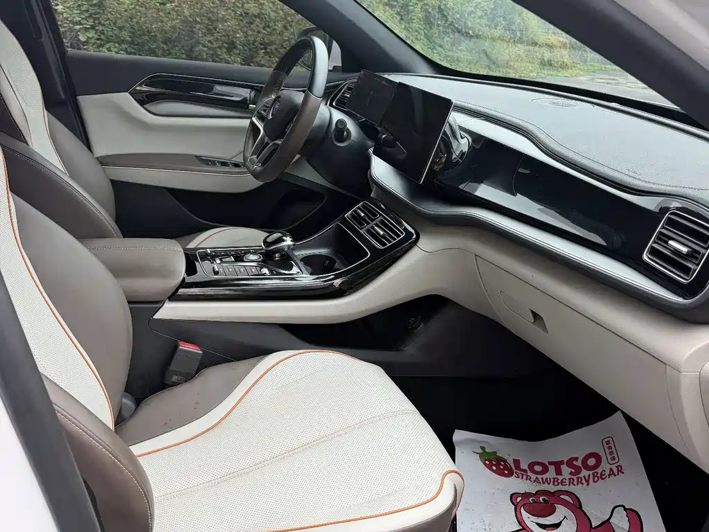 BYD Qin PLUS — миниатюра 9
